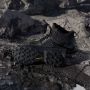 Adidas Terrex Skychaser Mid GTX Wandelschoenen zwart grijs - Thumbnail 42