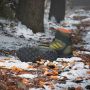 Adidas Terrex Kid's Terrex Snow CF Rain Ready Winterschoenen maat 10K meerkleurig - Thumbnail 7