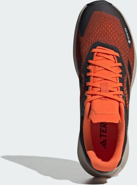 Adidas TERREX SOULSTRIDE FLOW GTX SCHOENEN