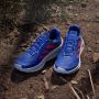 Adidas TERREX Soulstride Flow Trail Running Schoenen Unisex Grijs - Thumbnail 6