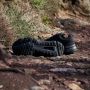 Adidas Terrex Soulstride RAIN.RDY Trail IF5015 Mannen Zwart Hardloopschoenen - Thumbnail 10