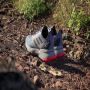 Adidas TERREX Soulstride Trail Running Schoenen Unisex Blauw - Thumbnail 4