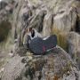 Adidas TERREX Swift Solo 2.0 Hiking Schoenen Unisex Grijs - Thumbnail 5