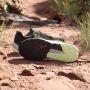 Adidas TERREX Trail Rider GORE-TEX Trail Running Schoenen Unisex Groen - Thumbnail 4