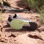 Adidas TERREX Trail Rider Trail Running Schoenen Dames Paars - Thumbnail 6