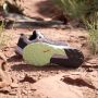 Adidas TERREX Trail Rider Trail Running Schoenen Dames Paars - Thumbnail 4