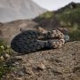 Adidas Terrex Trailmaker 2 GORE-TEX Hiking Schoenen - Thumbnail 3