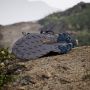 Adidas TERREX Trailmaker 2 GORE-TEX Speed Lace Hiking Schoenen Unisex Blauw - Thumbnail 44