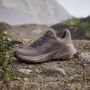 Adidas TERREX Trailmaker 2.0 GORE-TEX Hiking Schoenen Dames Bruin - Thumbnail 10