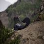 Adidas Terrex Women's Terrex Trailmaker 2 Mid GTX Wandelschoenen grijs - Thumbnail 4