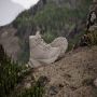 Adidas TERREX Winter Leather Mid Cut RAIN.RDY COLD.RDY Boots Unisex Beige - Thumbnail 5