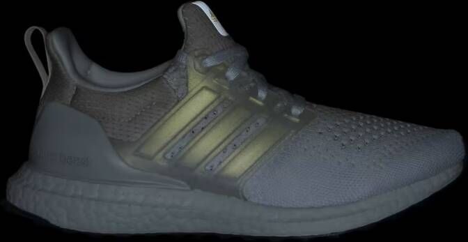 Adidas Ultraboost 1.0 Schoenen