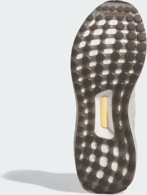 Adidas Ultraboost 1.0 Schoenen