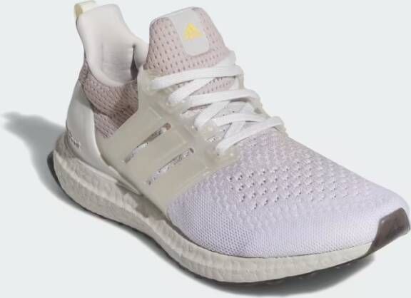 Adidas Ultraboost 1.0 Schoenen