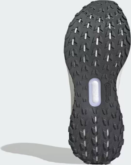 Adidas Ultraboost Schoenen