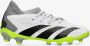 Adidas Predator Accuracy.3 Gras Kunstgras Voetbalschoenen (MG) Kids Wit Grijs Felgeel Zwart - Thumbnail 2