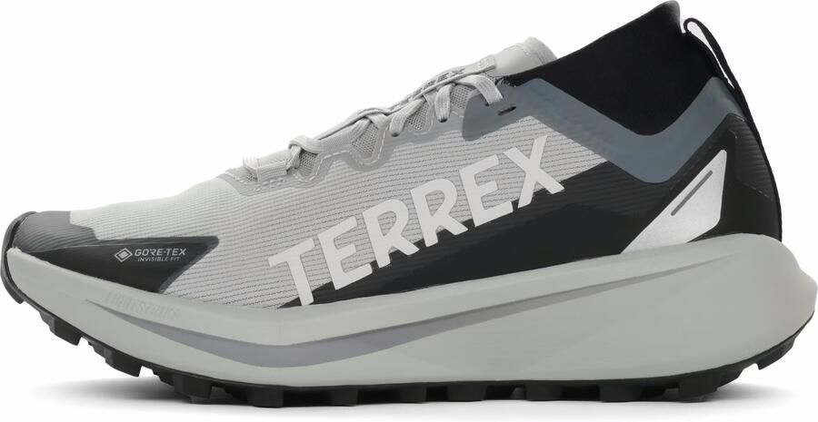Adidas Terrex Agravic GTX Heren