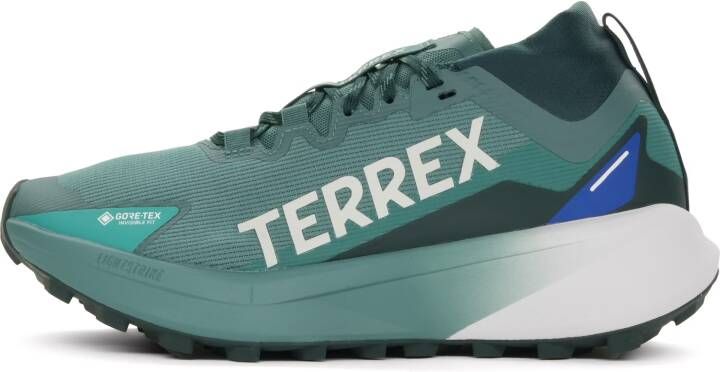 Adidas Terrex Agravic GTX Trail Trailrunningschoenen grijs