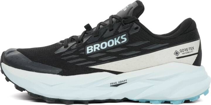 Brooks Cascadia 19 GTX Dames