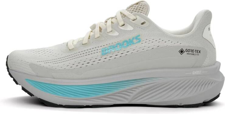 Brooks Ghost 17 GTX Dames