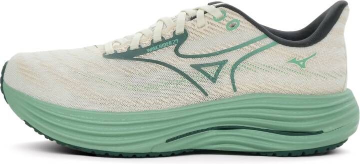 Mizuno Wave Rider 29 Heren