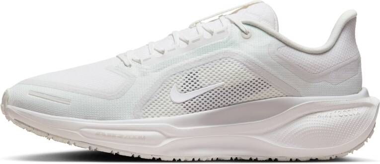 Nike Pegasus 41 GORE-TEX waterdichte hardloopschoenen voor heren (straat) Wit