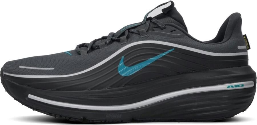 Nike Winflo 12 GTX Heren
