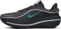 Nike Winflo 12 GTX Heren - Zwart