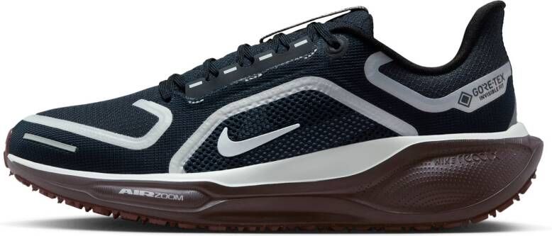 Nike Pegasus 41 GTX Dames