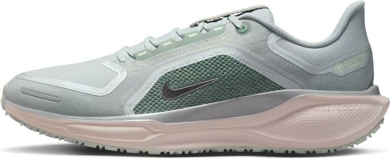 Nike Pegasus 41 GTX Heren