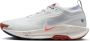 Nike Pegasus Trail 5 GORE-TEX waterdichte trailrunningschoenen voor heren Grijs - Thumbnail 2
