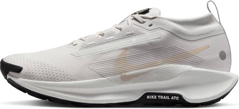 Nike Pegasus Trail 5 GORE-TEX waterdichte trailrunningschoenen voor heren Grijs