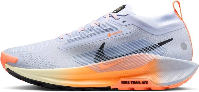 Nike Pegasus Trail 5 GTX Heren