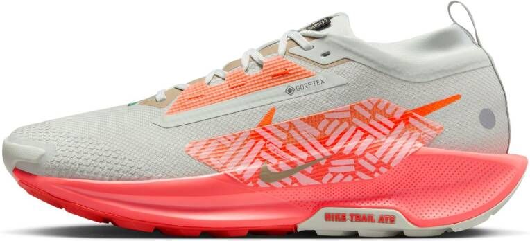 Nike Pegasus Trail 5 GORE-TEX waterdichte trailrunningschoenen voor heren Grijs