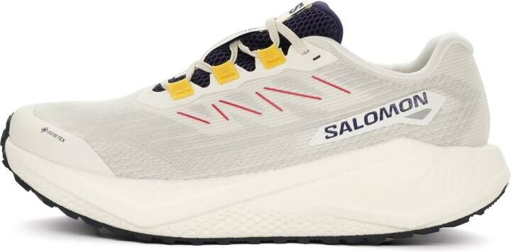 Salomon Aero Blaze 3 GRVL GTX Dames