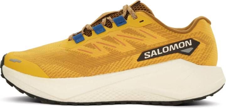 Salomon Aero Blaze 3 GRVL Heren