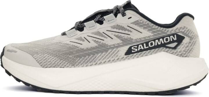 Salomon Aero Blaze 3 GRVL Heren