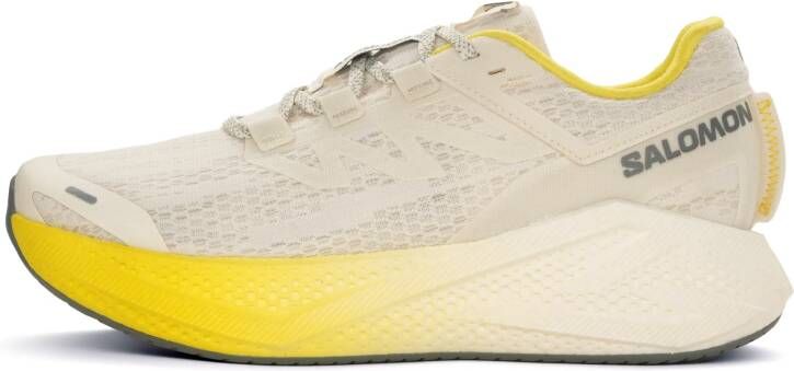 Salomon Aero Glide 3 Heren