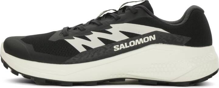Salomon Alphaglide Heren