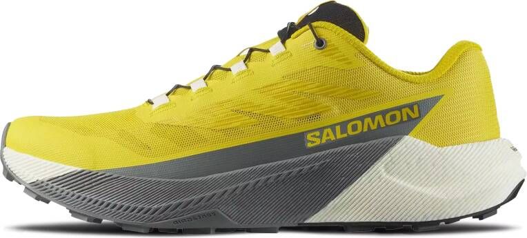 Salomon Pulsar Heren