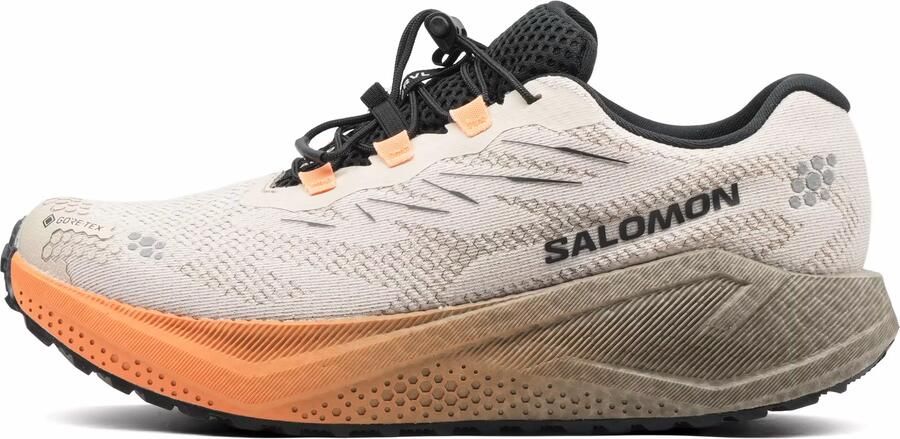 Salomon Aero Blaze 4 GRVL GTX Dames