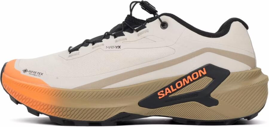 Salomon Genesis 2 GTX Dames