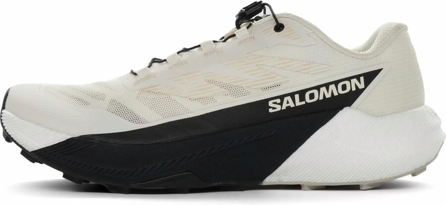 Salomon Pulsar Heren