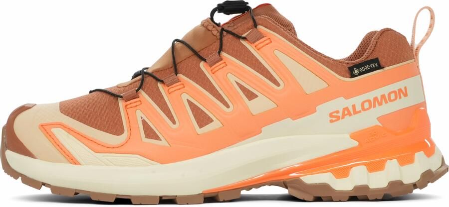 Salomon XA Pro 3D V9 GTX Dames