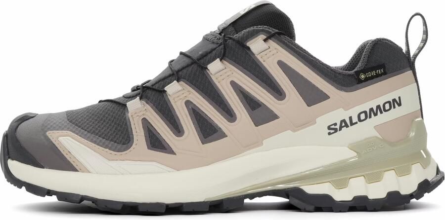 Salomon XA Pro 3D V9 Gore-Tex Trailschoen Dames Grijs