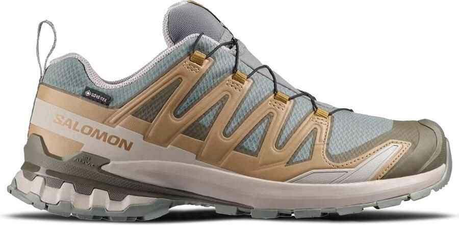 Salomon XA Pro 3D V9 GTX Heren