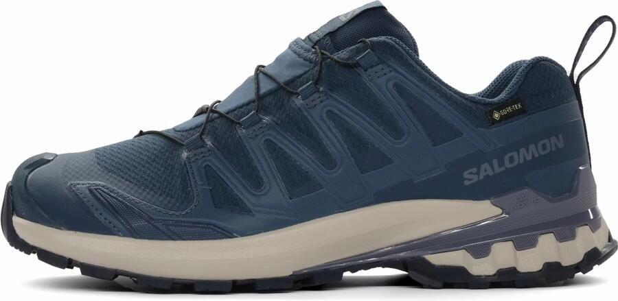 Salomon XA Pro 3D V9 GTX Heren