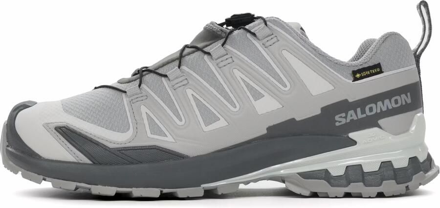 Salomon XA Pro 3D V9 Gore-Tex Trailschoen Heren Grijs - Foto 2