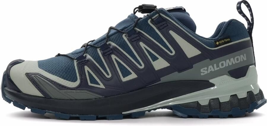 Salomon XA Pro 3D V9 GTX Heren