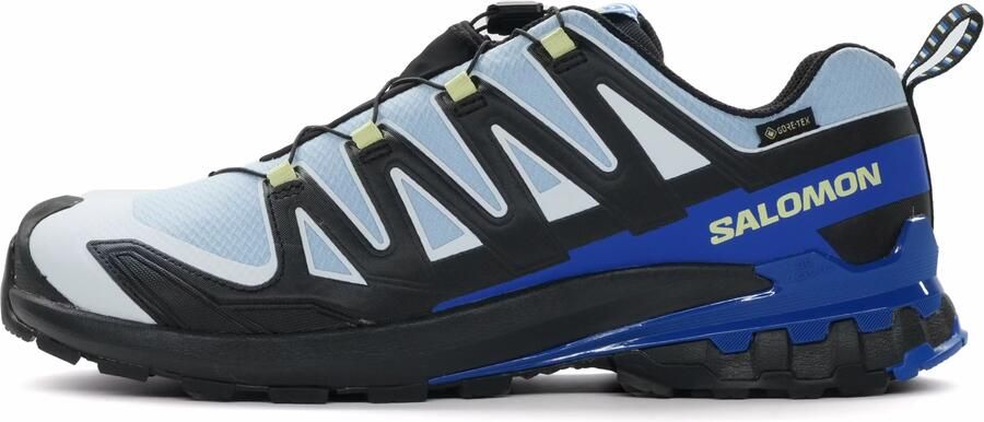 Salomon XA Pro 3D V9 GTX Icon Heren